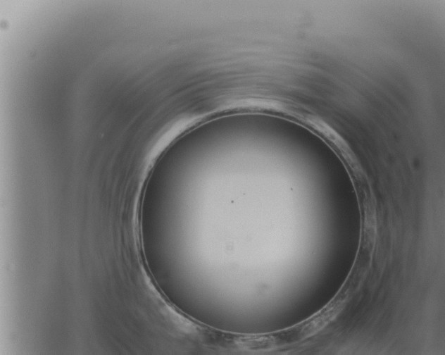 X0000062871199200601201746