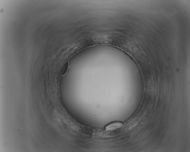 X0000062871201200601201745