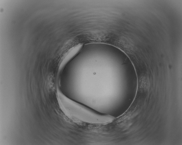 X0000062871202200601201745