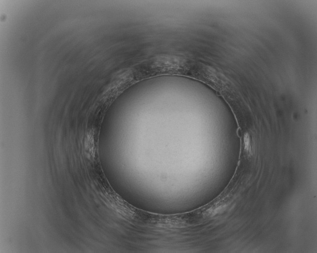 X0000062871203200601201745