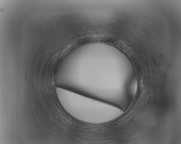 X0000062871204200601201745