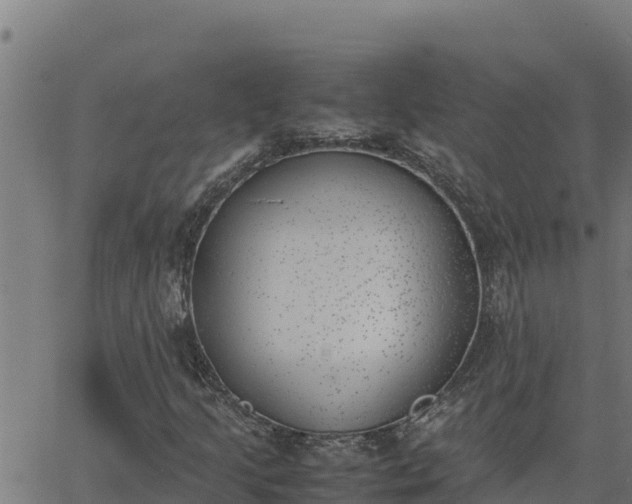 X0000062871205200601201745