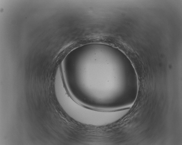 X0000062871206200601201745