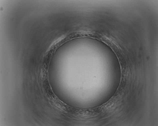 X0000062871207200601201745