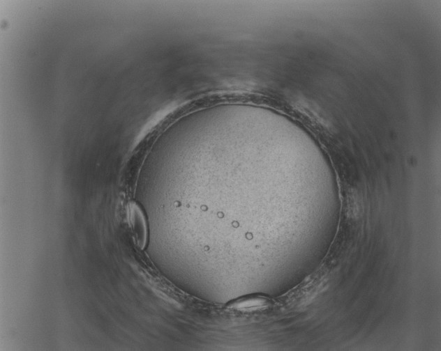 X0000062871208200601201745