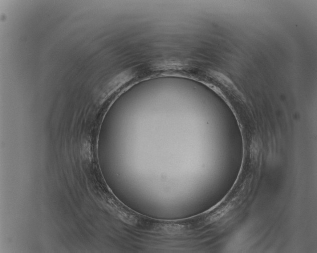 X0000062871209200601201745