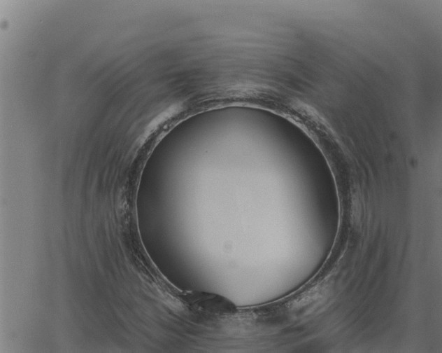 X0000062871210200601201745