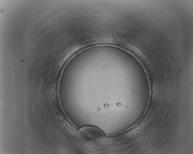 X0000062871212200601201746