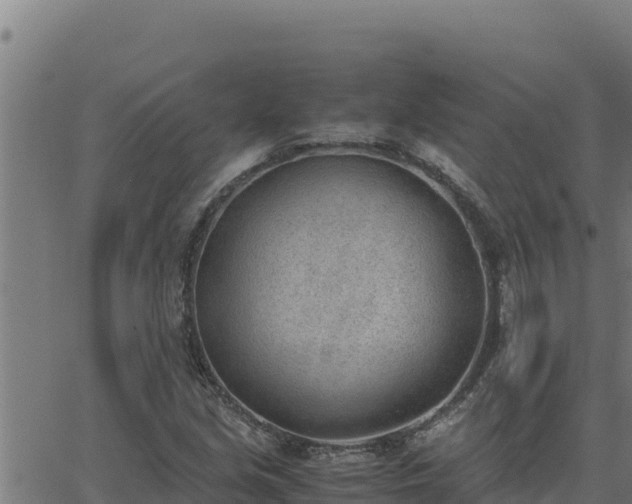 X0000062871213200601201746