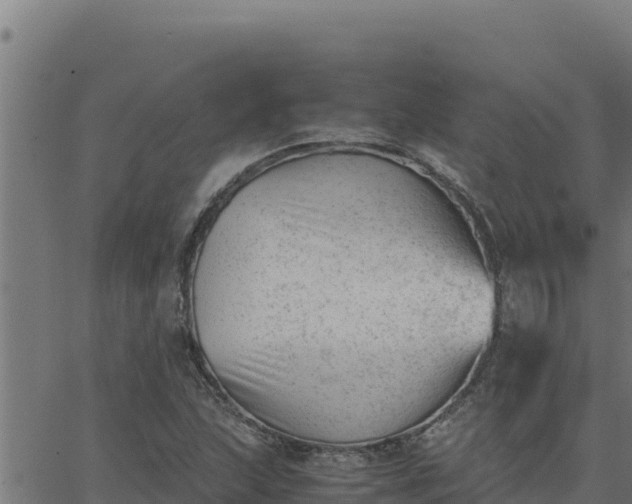 X0000062871215200601201746