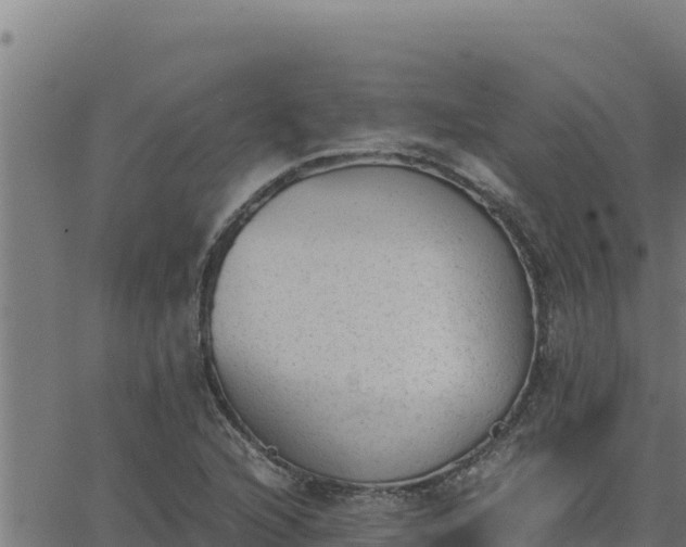 X0000062871216200601201746