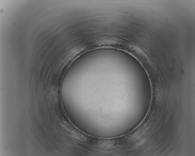 X0000062871217200601201746