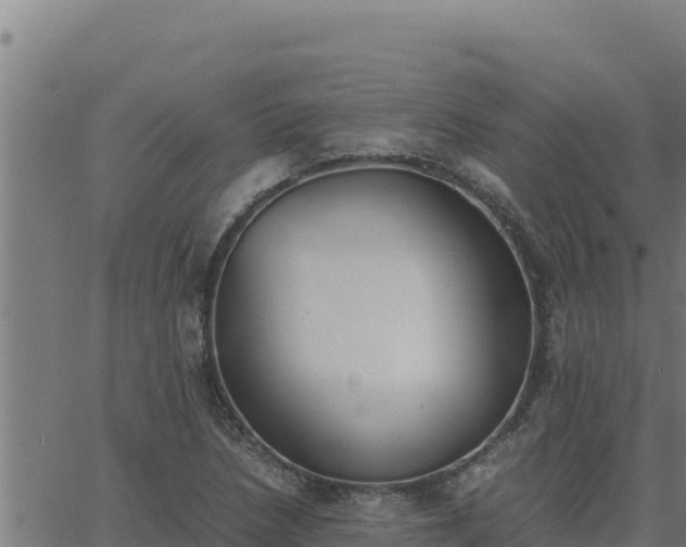 X0000062871218200601201746