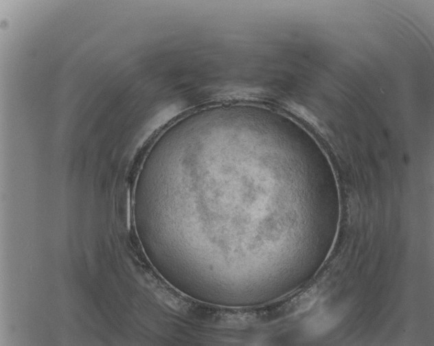 X0000062871219200601201746