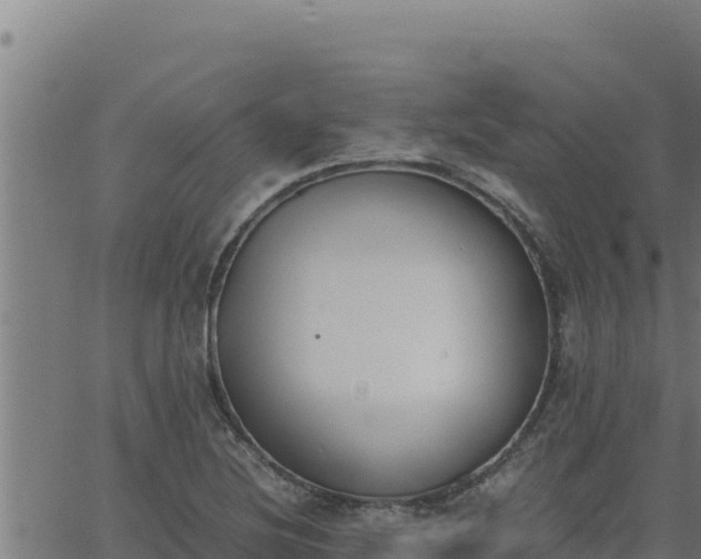 X0000062871220200601201746