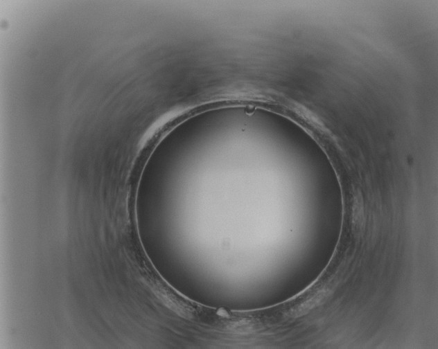 X0000062871222200601201746