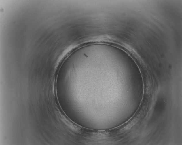 X0000062871224200601201746