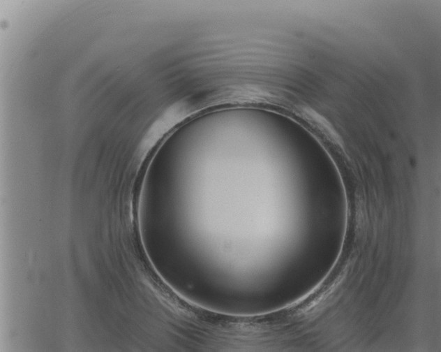 X0000062871226200601201746