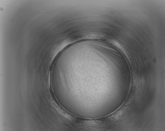 X0000062871227200601201746