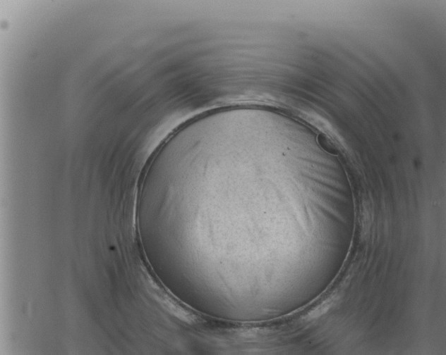 X0000062871228200601201746