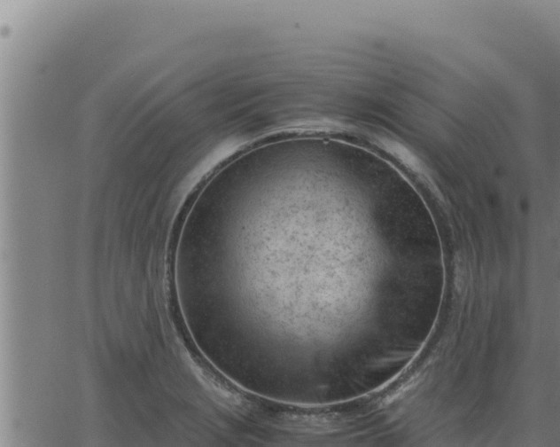 X0000062871229200601201746