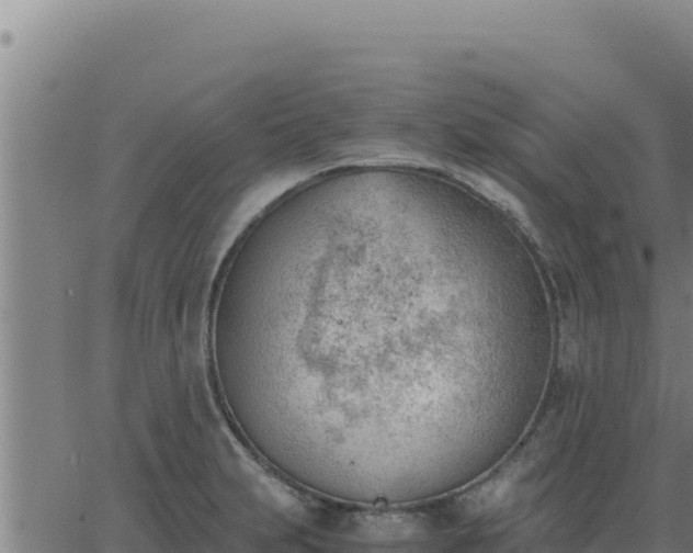 X0000062871231200601201746