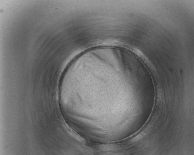 X0000062871232200601201746