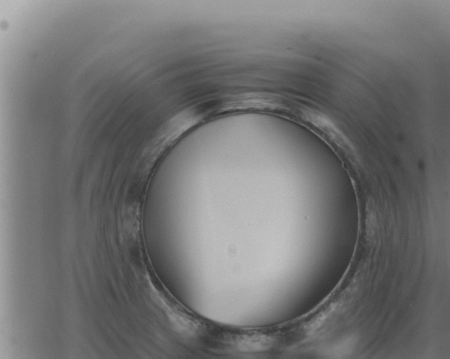 X0000062871233200601201746