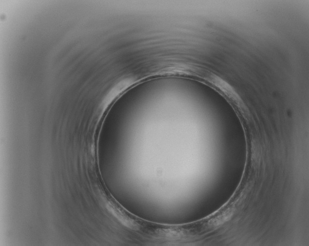 X0000062871234200601201746