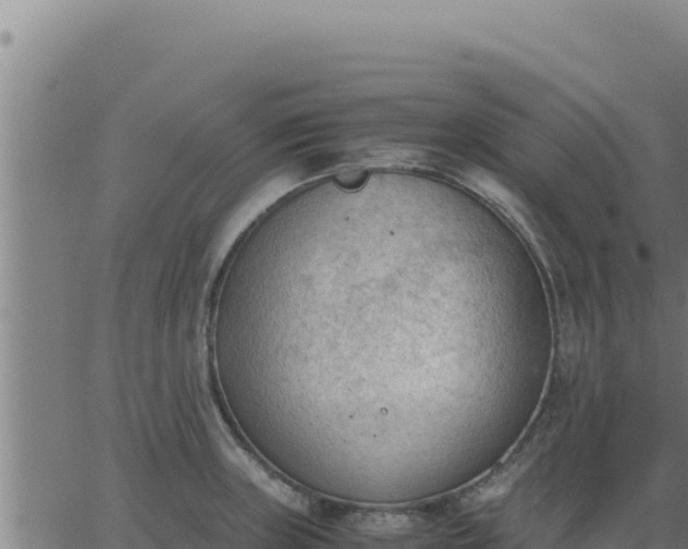 X0000062871235200601201746