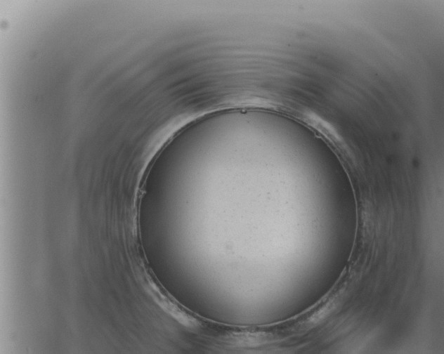 X0000062871236200601201746