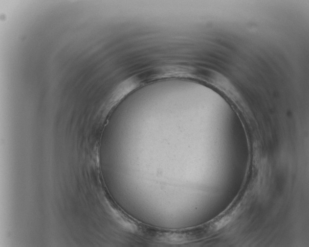 X0000062871241200601201746