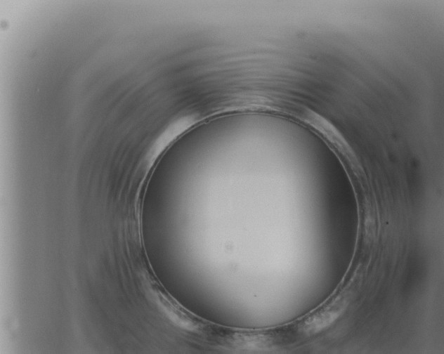 X0000062871242200601201746