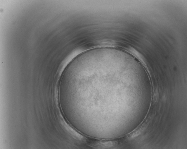 X0000062871243200601201746