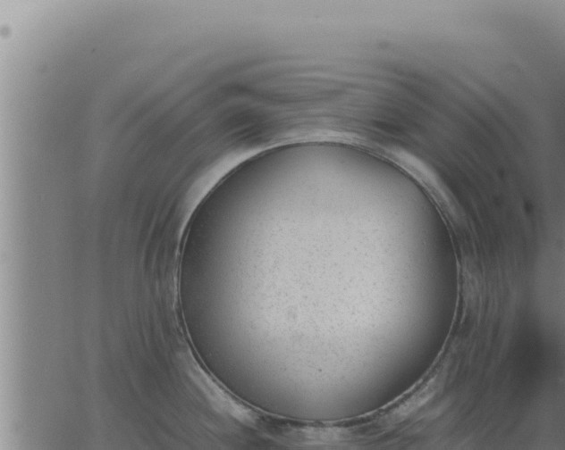 X0000062871244200601201746