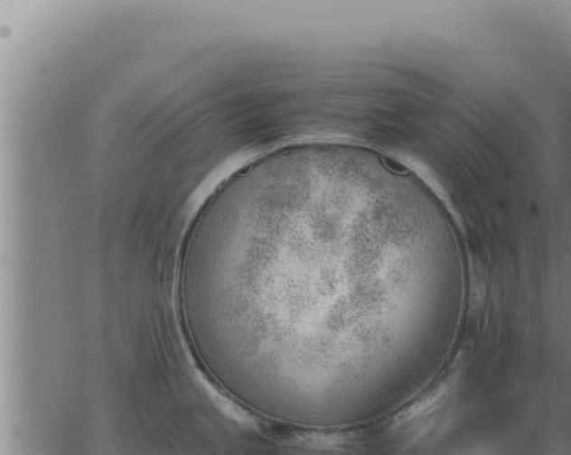 X0000062871245200601201746