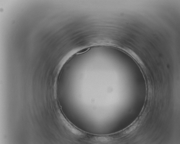 X0000062871246200601201746