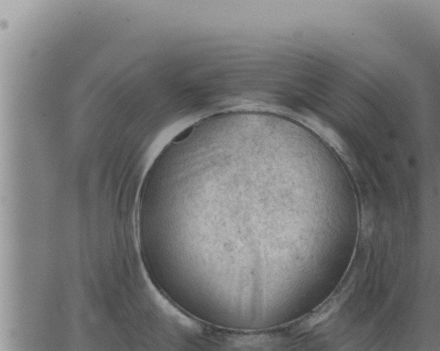 X0000062871247200601201746