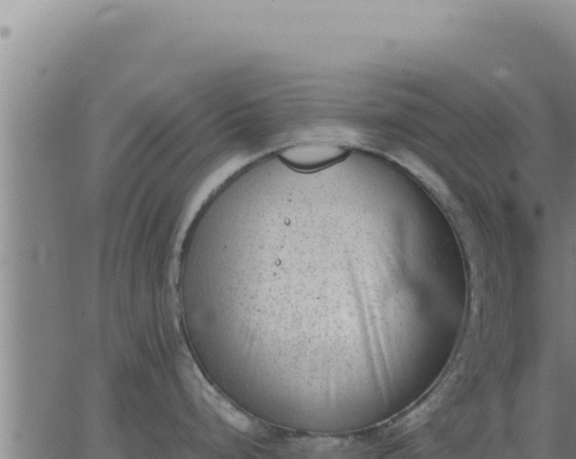 X0000062871248200601201746