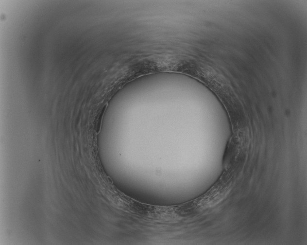 X0000062871249200601201745