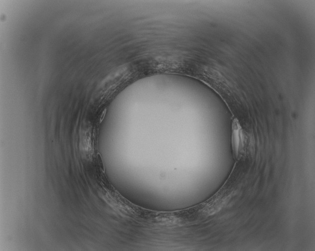 X0000062871250200601201745