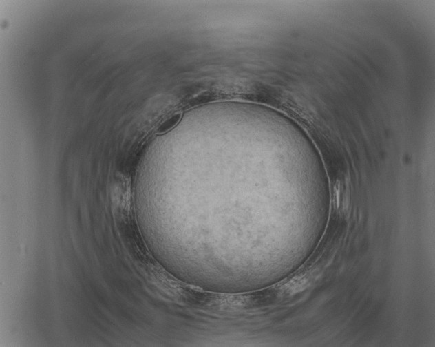 X0000062871251200601201745