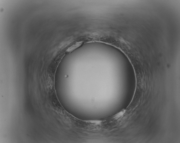 X0000062871253200601201745