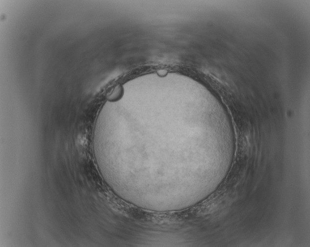 X0000062871254200601201745