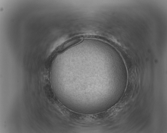 X0000062871255200601201745