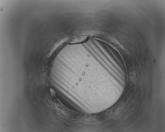 X0000062871256200601201745