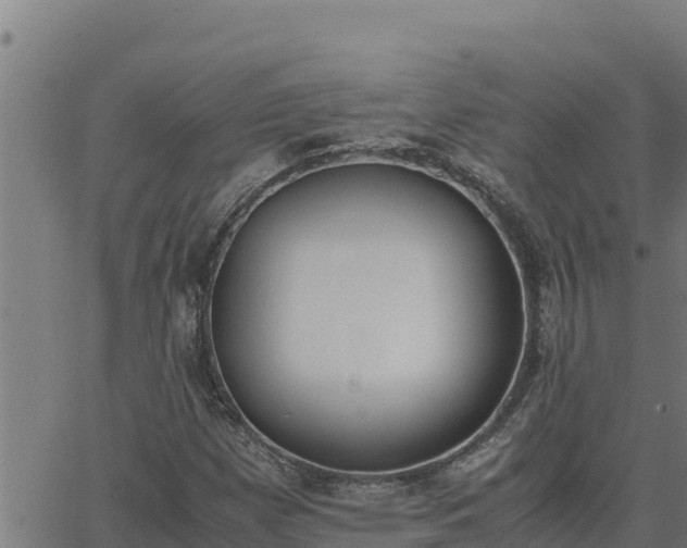 X0000062871257200601201745