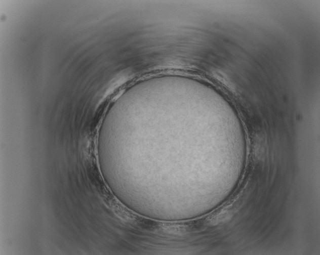 X0000062871258200601201745