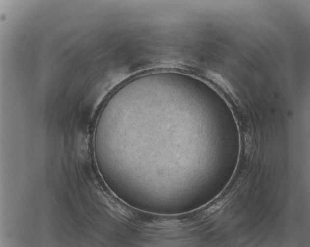 X0000062871260200601201745