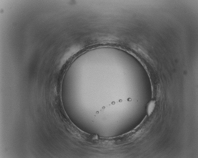 X0000062871261200601201745